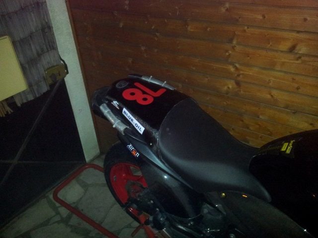 Présentation de la Tondeuse de MrBriko: Hornet 600 2010 Capotsellefini