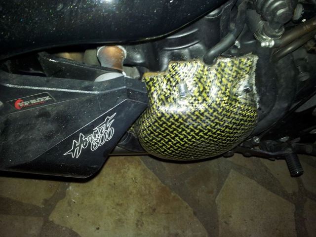 Présentation de la Tondeuse de MrBriko: Hornet 600 2010 Protegecarteralt2
