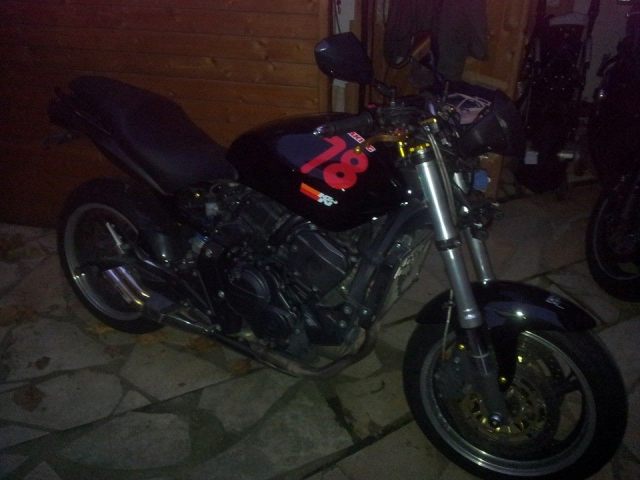 Présentation de la Tondeuse de MrBriko: Hornet 600 2010 R%e9s%e9%20selle%20mont%e9